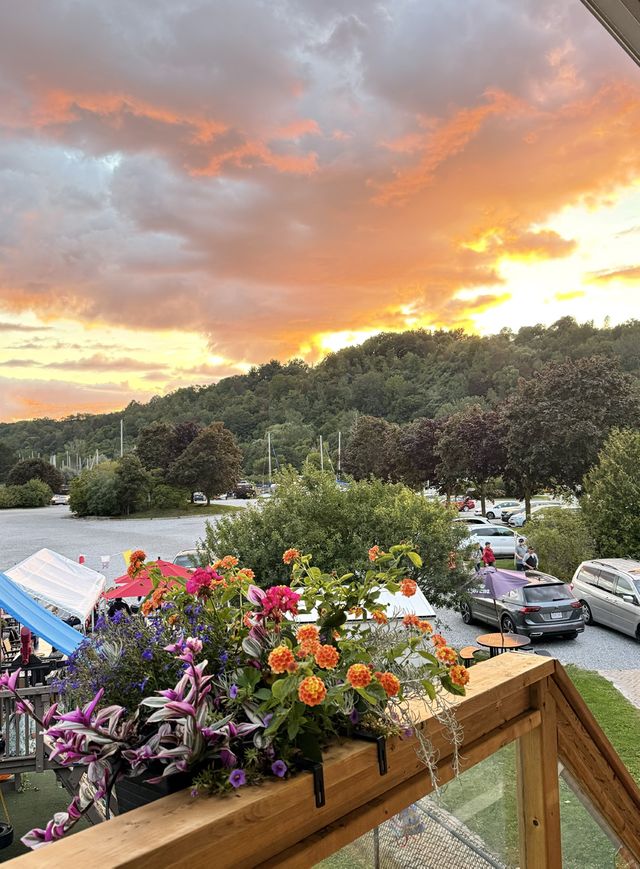 Flower boxes on a railing, with an orange sunset over the boatyard