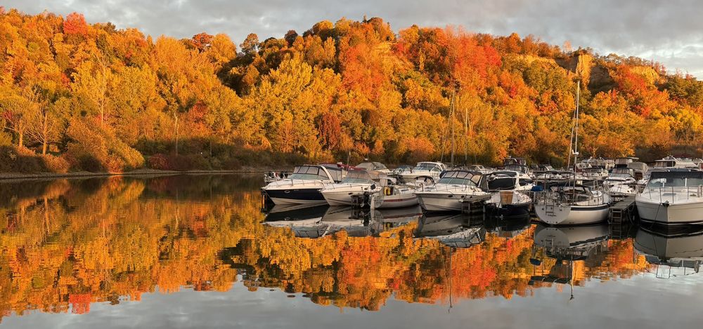 Autumn trees in orange and gold reflected in the basin
