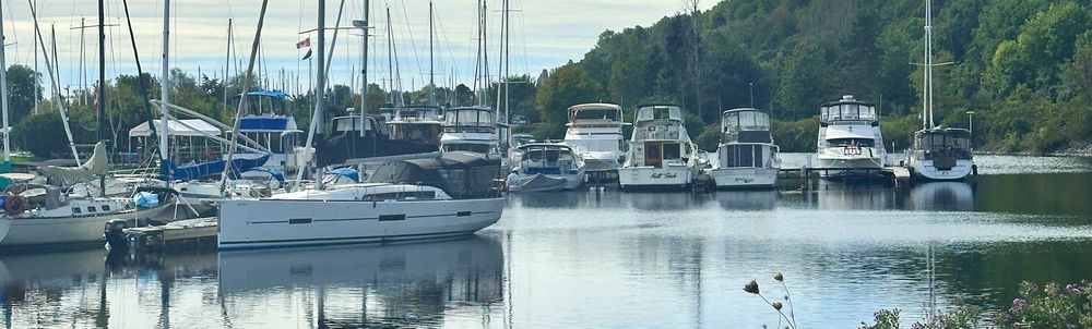 Boats at their docks in the basin, with trees along the shore